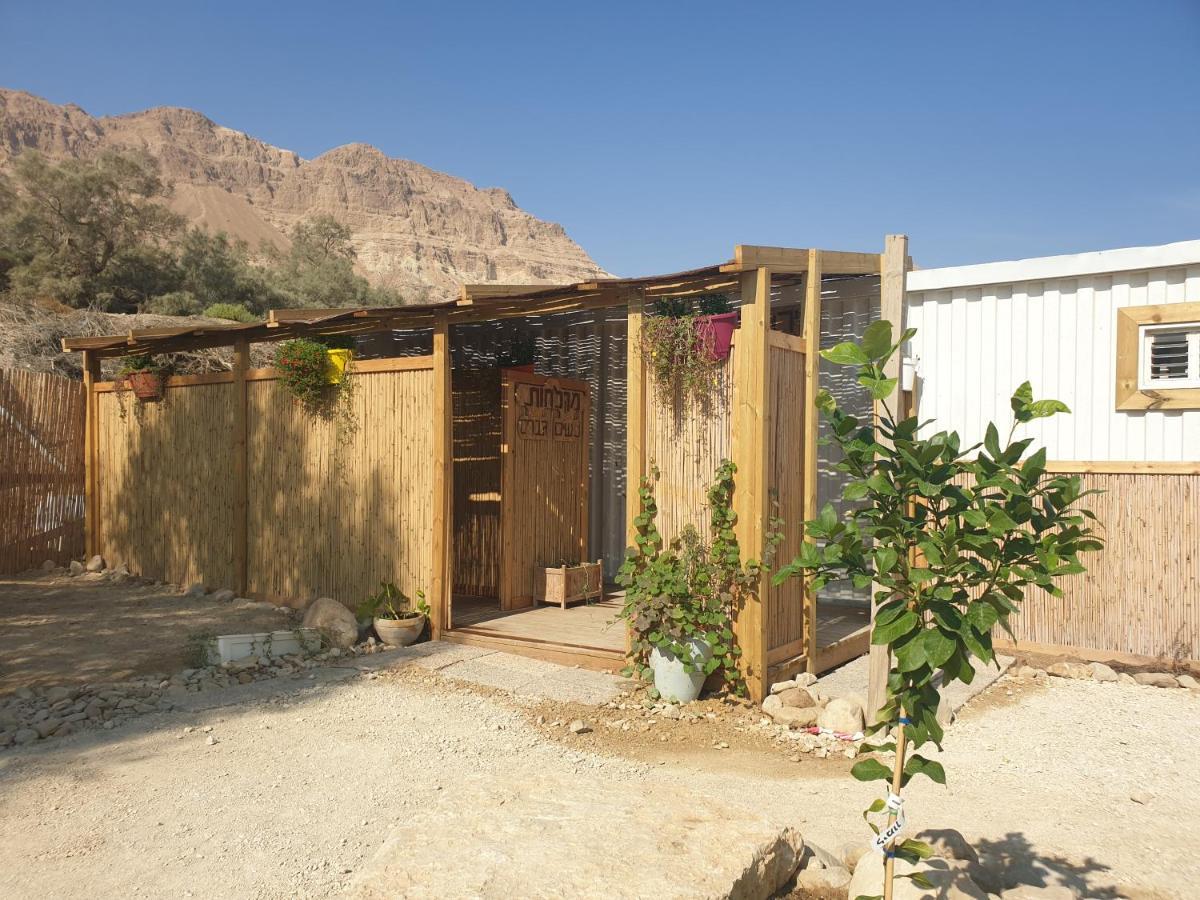 Badolina Ein Gedi Glamping Ξενοδοχείο Εξωτερικό φωτογραφία