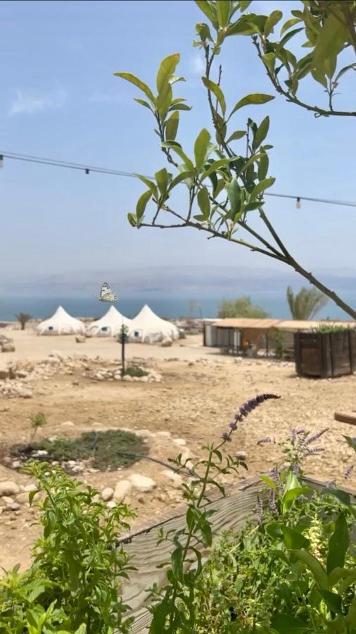 Badolina Ein Gedi Glamping Ξενοδοχείο Εξωτερικό φωτογραφία
